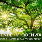 Ruhe - Gelassenheit - Einssein in & mit der Natur: Naturwochenende im Odenwald