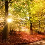 Spirituelle Wanderung