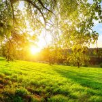 Ruhe - Gelassenheit - Einssein in & mit der Natur: Naturwochenende im Odenwald