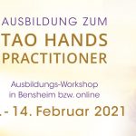 Tao Hands Practitioner Ausbildungsworkshop